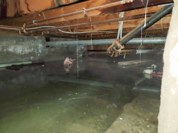 Best Commercial water damage restoration  in Martinsburg, PA